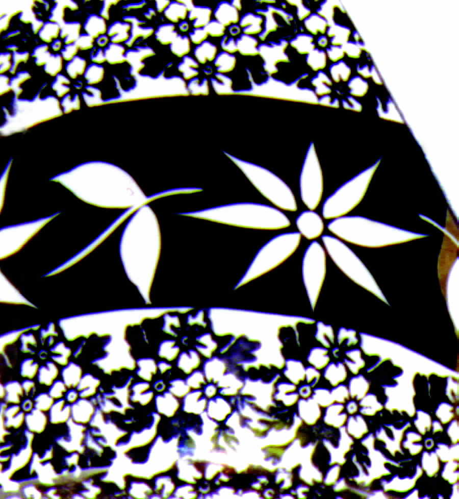 W881 Dinner Plate by Gibson & Sons-1