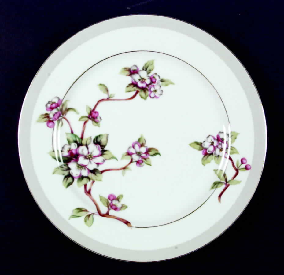Appleblossom Dinner Plate by Gold Coast-1