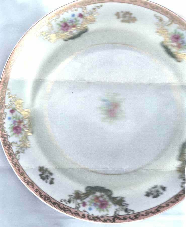 Enchantment Dinner Plate by Gold Coast-1