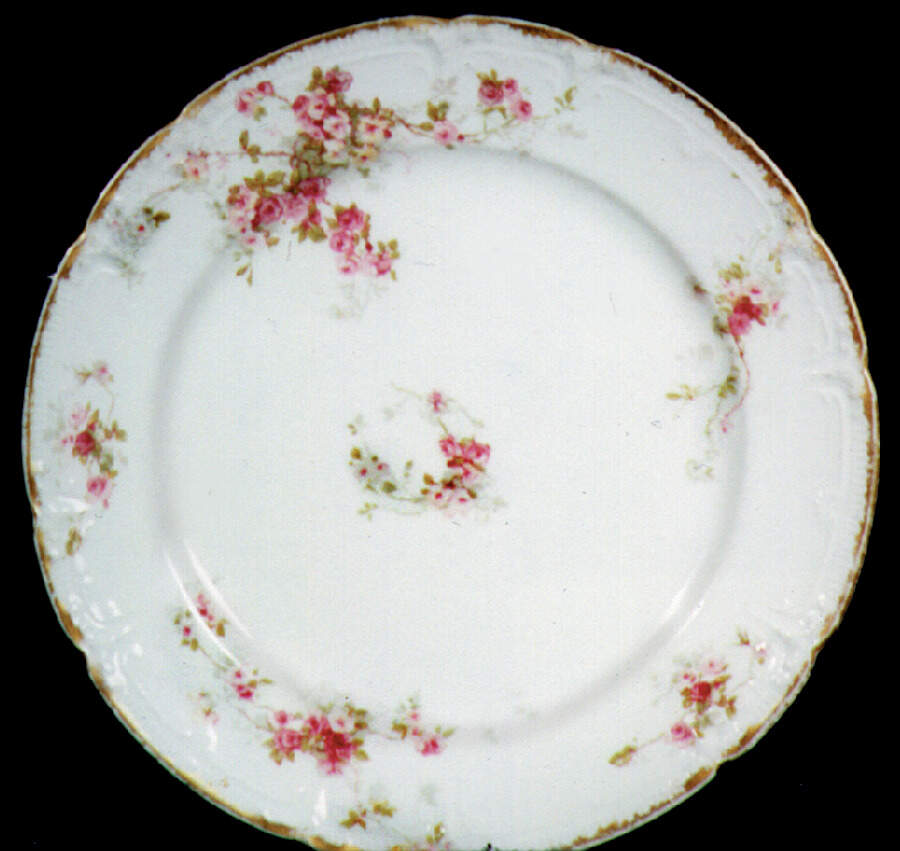 GDA50 Dinner Plate by Gerard, Dufraisseix & Abbot-1