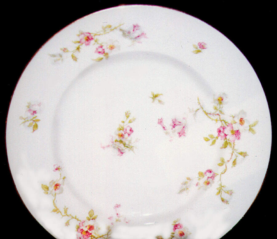 GDA64 Dinner Plate by Gerard, Dufraisseix & Abbot-1