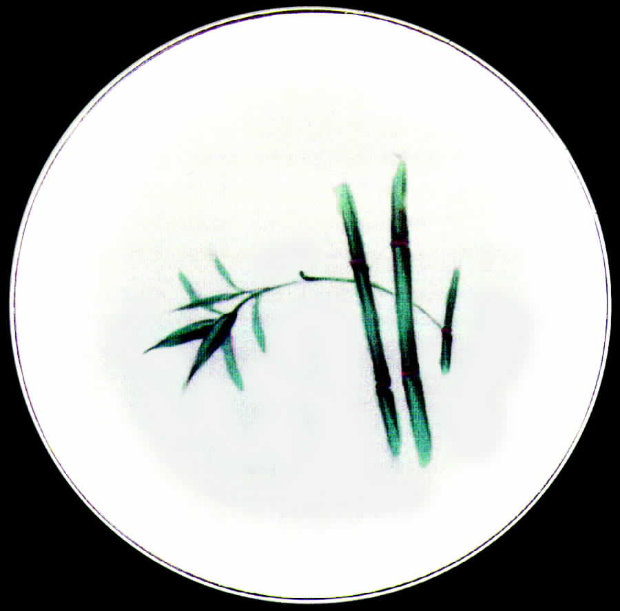 GEC2 Salad Plate by Gem China-1