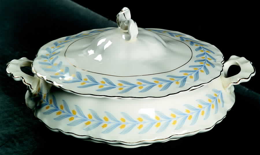 Apollo Round Covered Vegetable by WS George-1