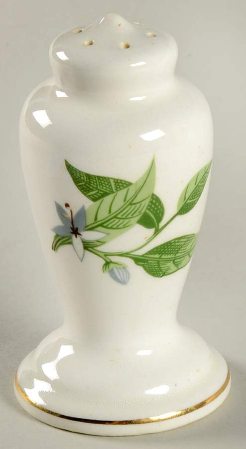 B8760 Salt Shaker by WS George-1