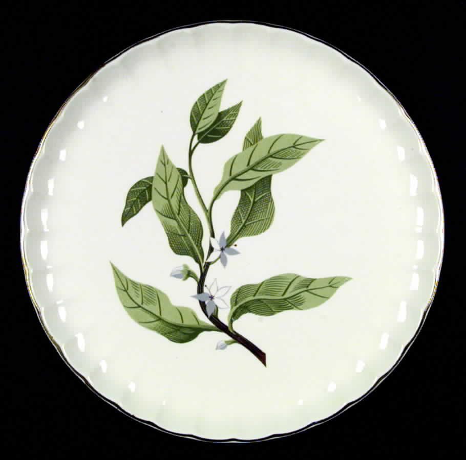 B8760 Dinner Plate by WS George-1