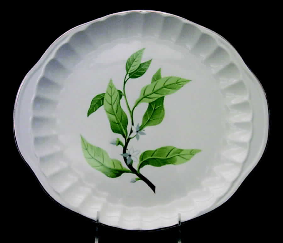 B8760 Handled Cake Plate by WS George-1