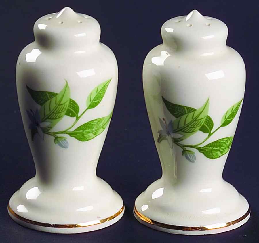 B8760 Salt & Pepper Set by WS George-1