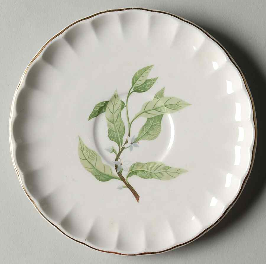 B8760 Saucer by WS George-1