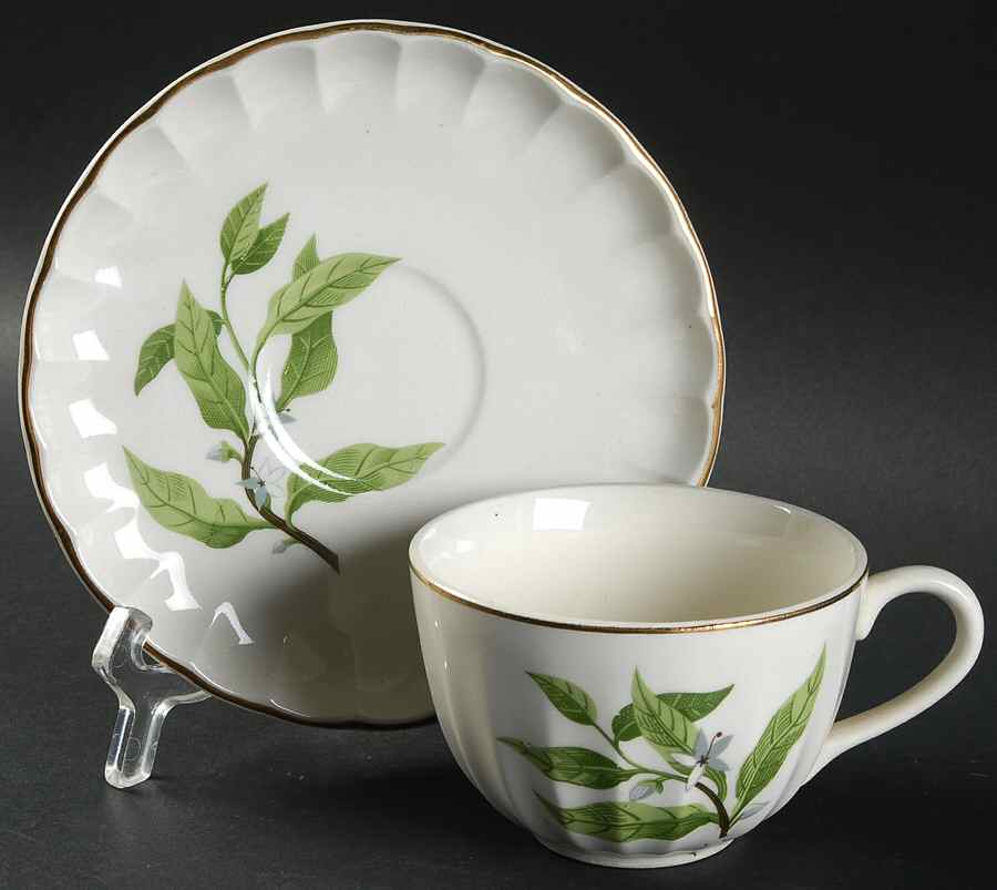 B8760 Flat Cup & Saucer Set by WS George-1