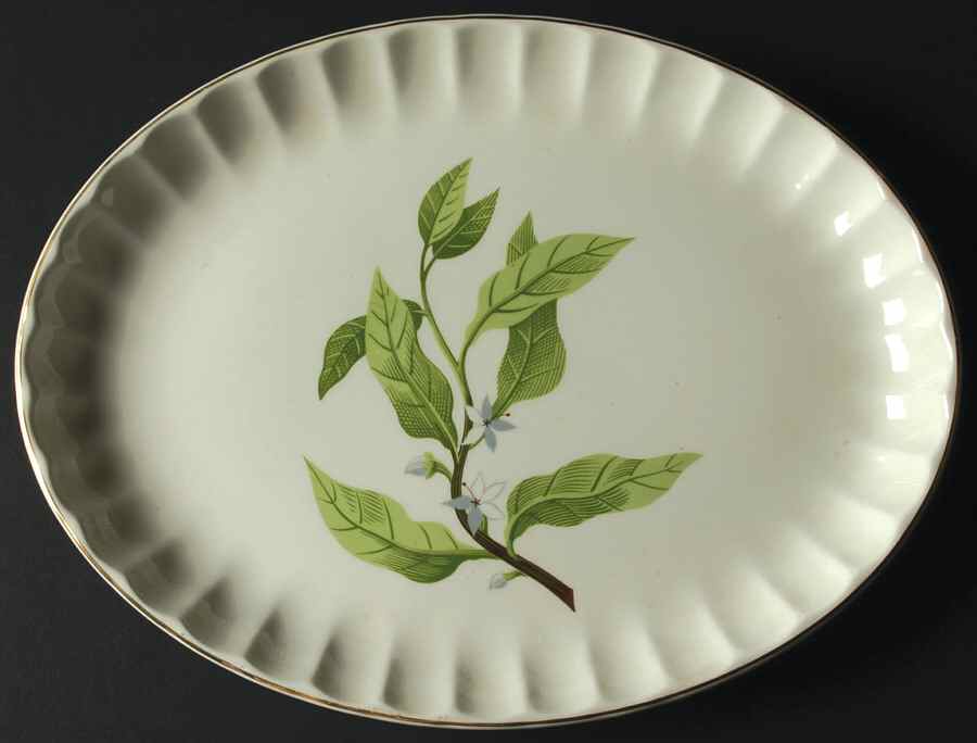 B8760 13" Oval Serving Platter by WS George-1