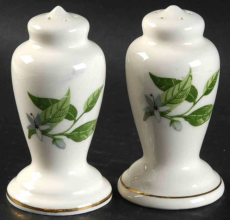 B8760 Salt & Pepper Set by WS George-1