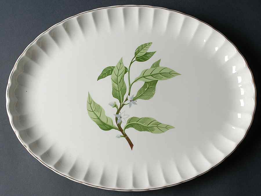 B8760 15" Oval Serving Platter by WS George-1