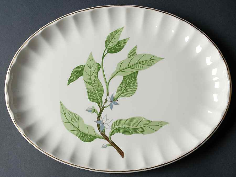 B8760 11" Oval Serving Platter by WS George-1