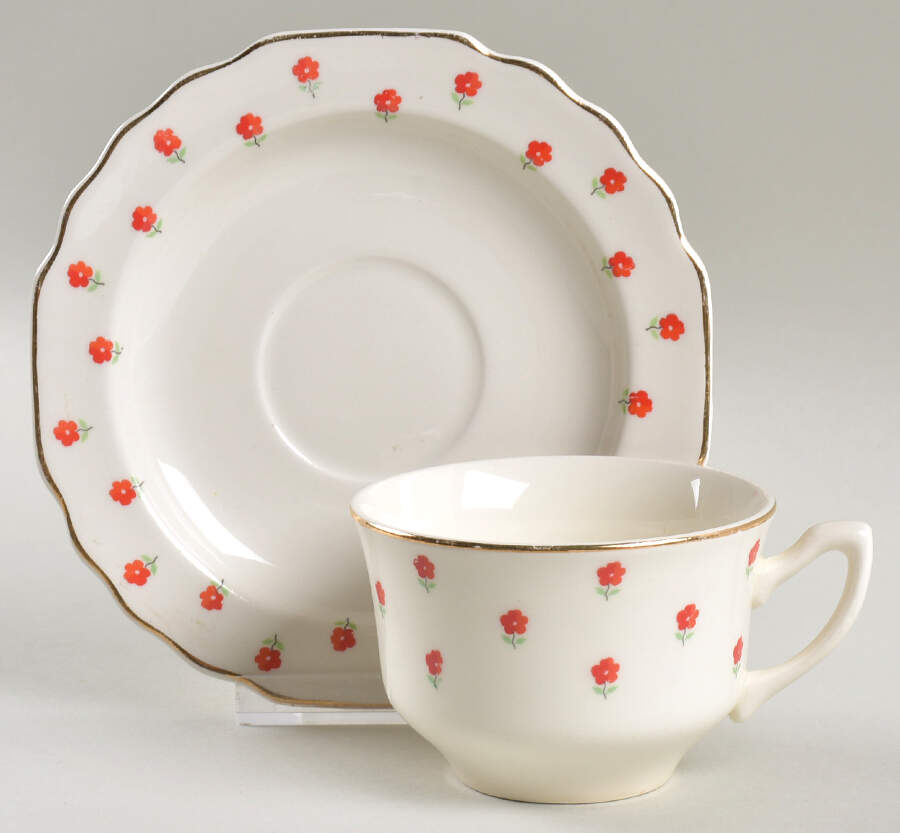 Blushing Rose Dalrymple (Lido) Flat Cup & Saucer Set by WS George-1