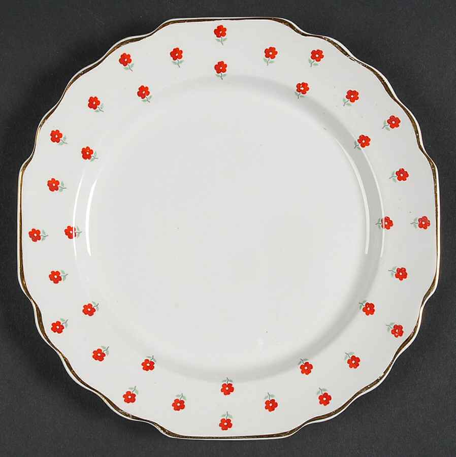 Blushing Rose Dalrymple (Lido) Salad Plate by WS George-1
