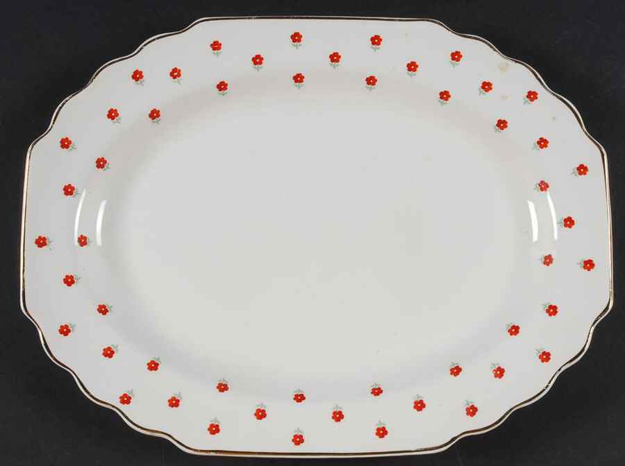 Blushing Rose Dalrymple (Lido) 11" Oval Serving Platter by WS George-1
