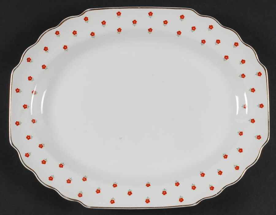 Blushing Rose Dalrymple (Lido) 13" Oval Serving Platter by WS George-1