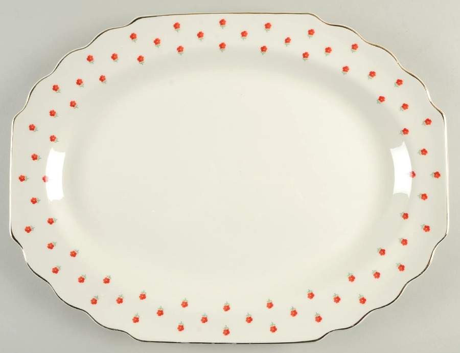 Blushing Rose Dalrymple (Lido) 15" Oval Serving Platter by WS George-1