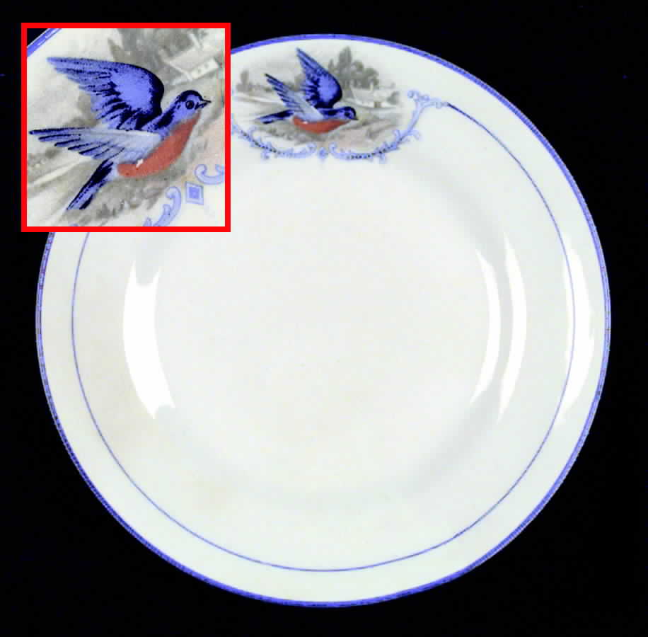 Bluebird Salad Plate by WS George-1
