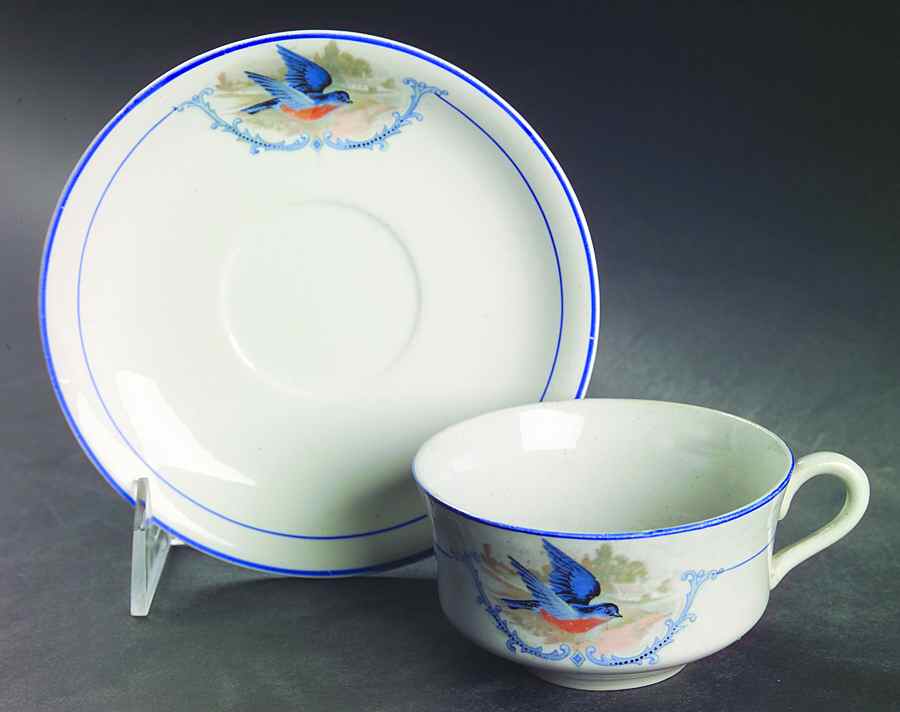 Bluebird Flat Cup & Saucer Set by WS George-1