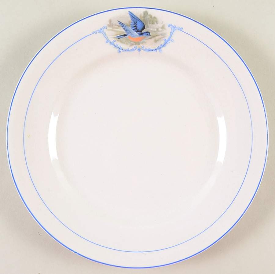 Bluebird Salad Plate by WS George-1