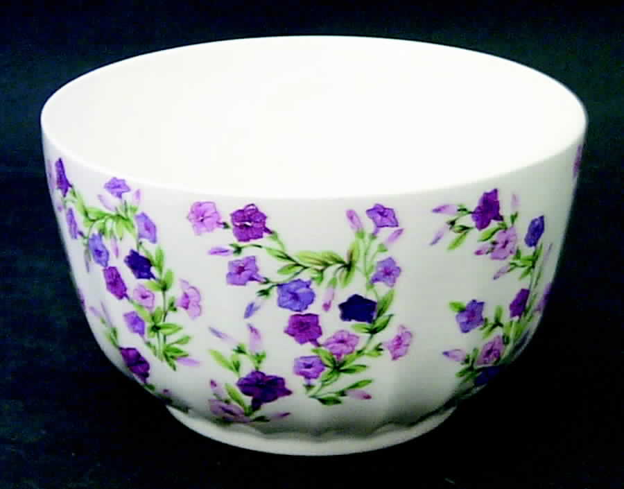 Fiesta Cranberry Bowl by WS George-1