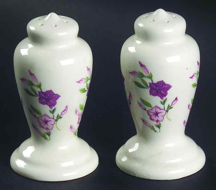 Fiesta Salt & Pepper Set by WS George-1