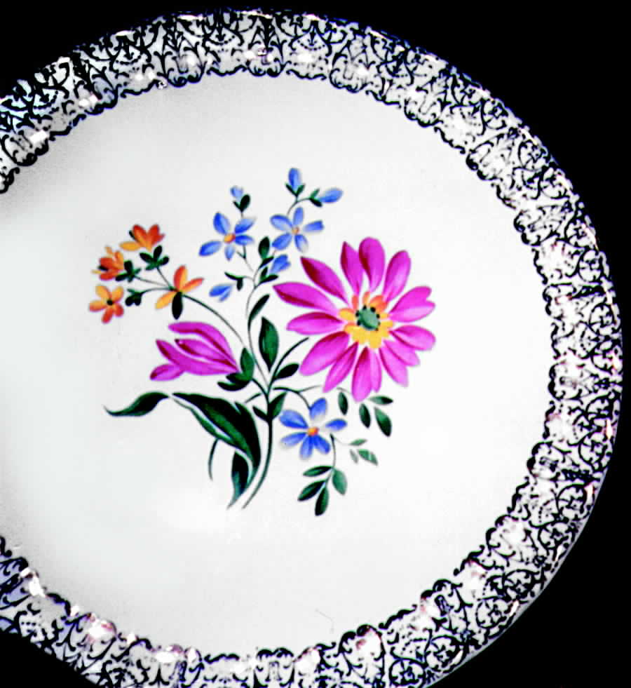 GEO101 Dinner Plate by WS George-1
