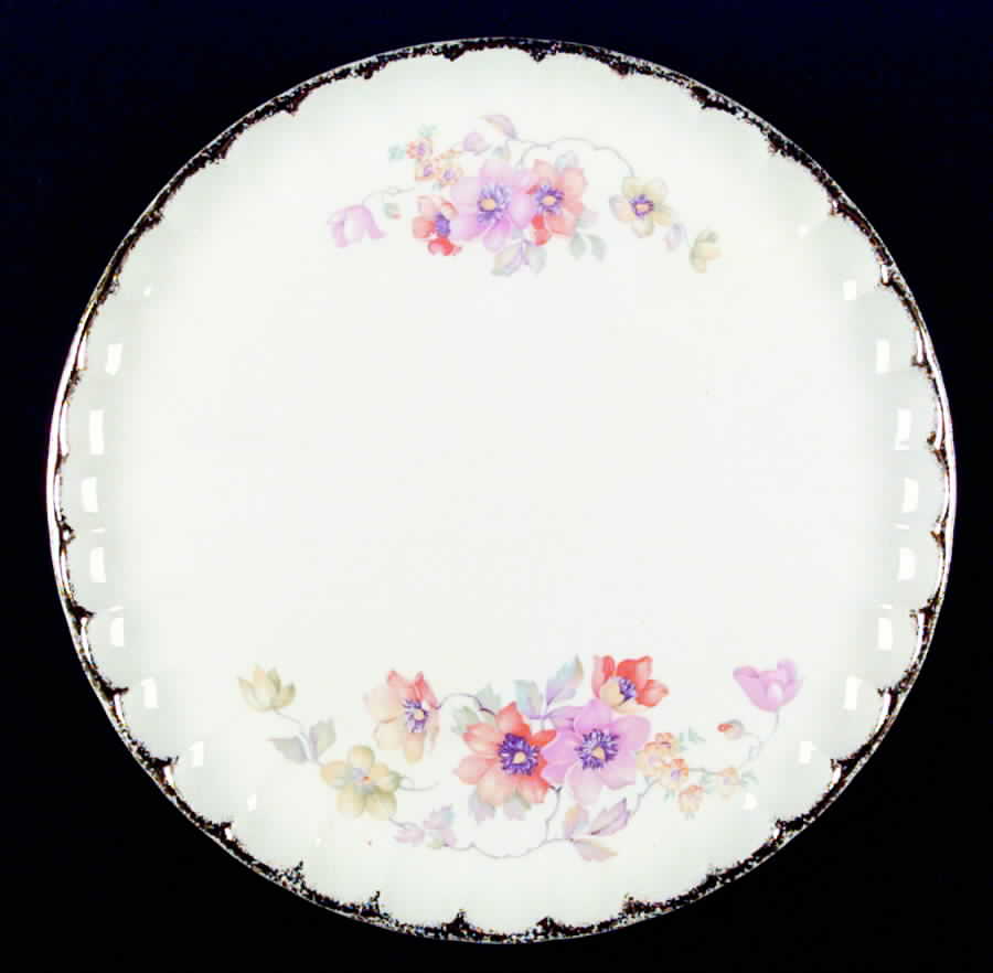 GEO102 Dinner Plate by WS George-1