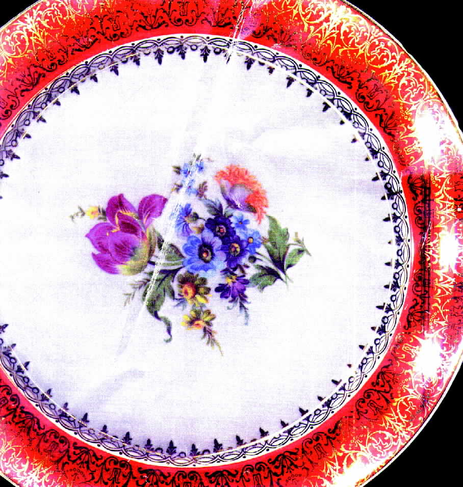 GEO104 Dinner Plate by WS George-1