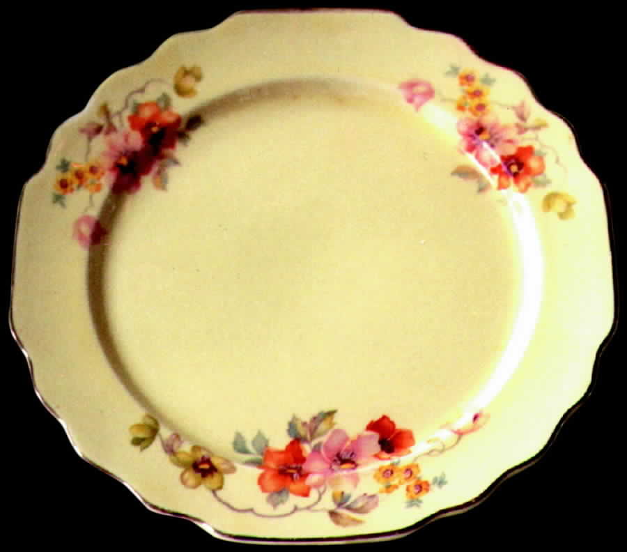 GEO108 Dinner Plate by WS George-1