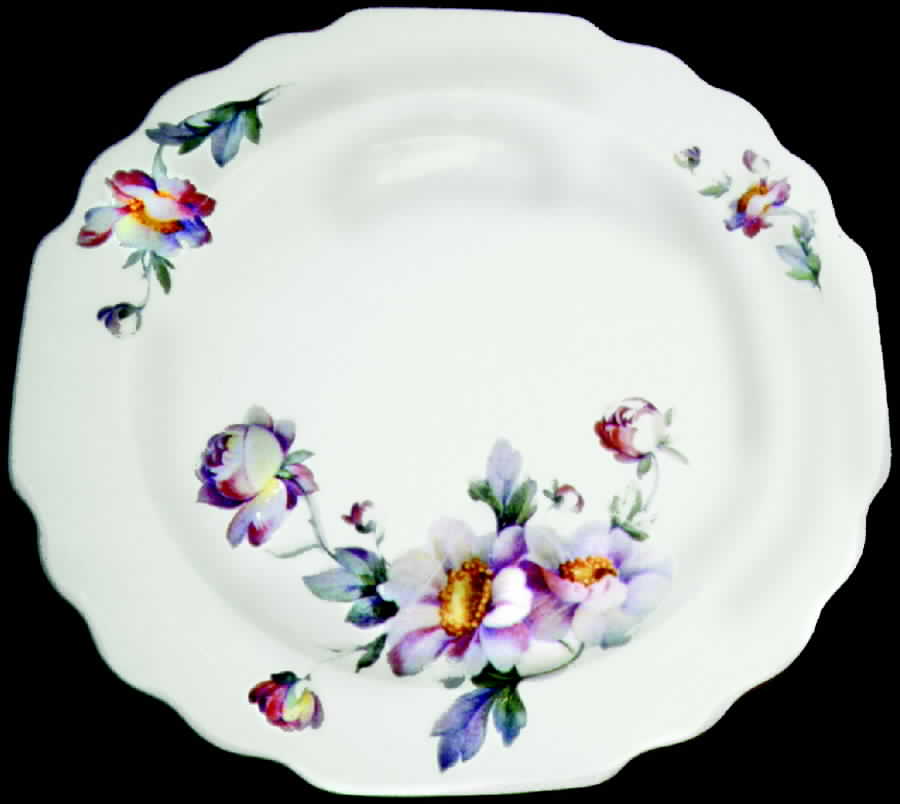 GEO110 Dinner Plate by WS George-1