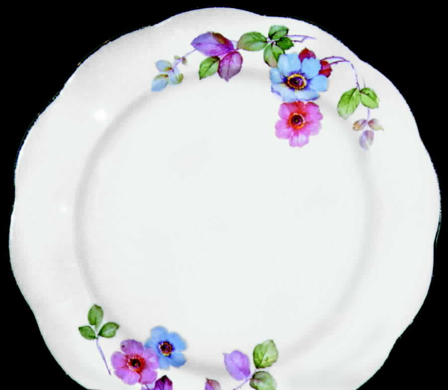 GEO112 Dinner Plate by WS George-1