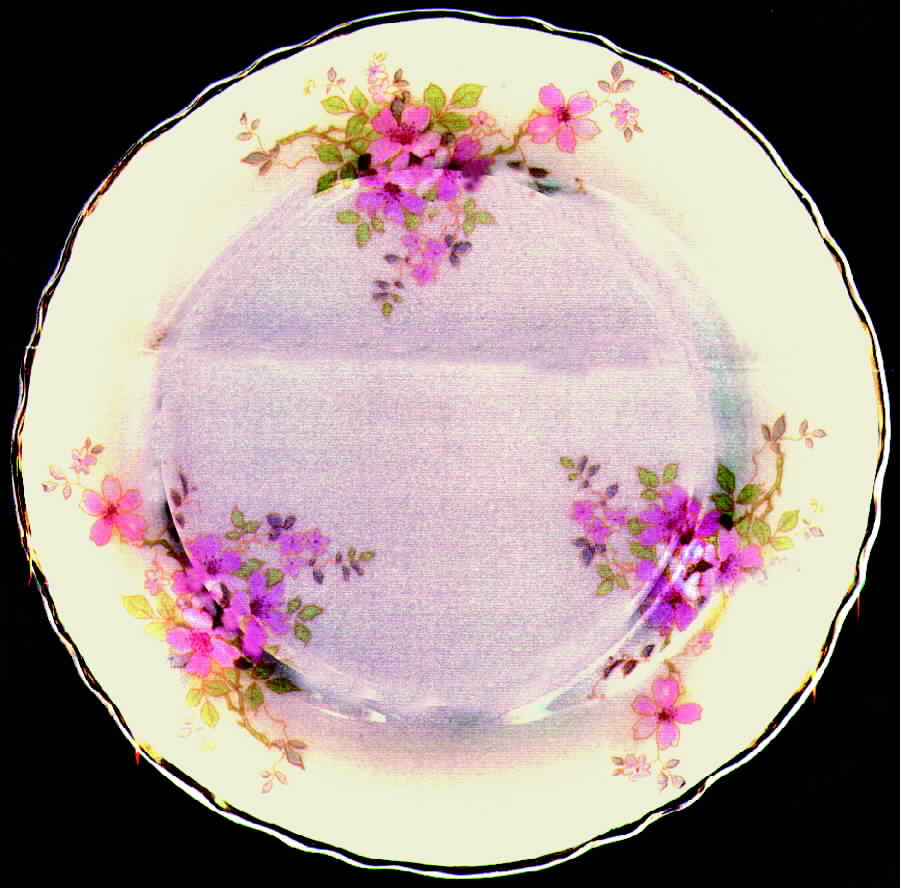 GEO113 Bread & Butter Plate by WS George-1
