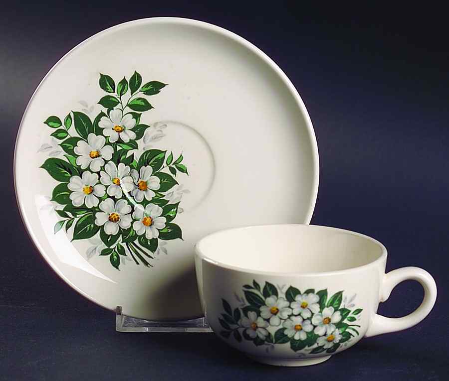 GEO120 Flat Cup & Saucer Set by WS George-1