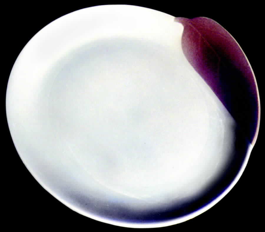 GEO124 Dinner Plate by WS George-1