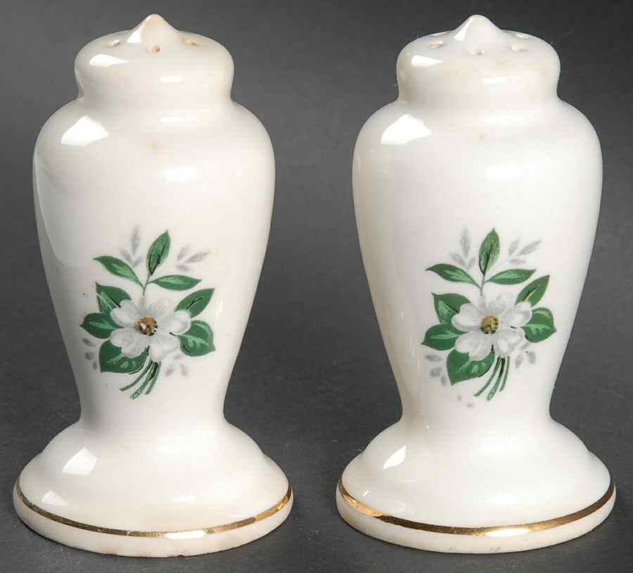 GEO14 Salt & Pepper Set by WS George-1