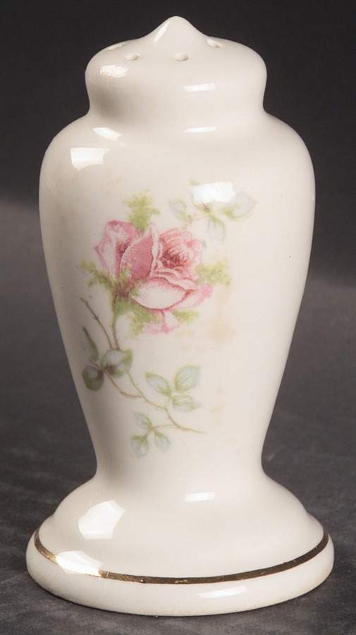 B8949-4 Salt Shaker by WS George-1