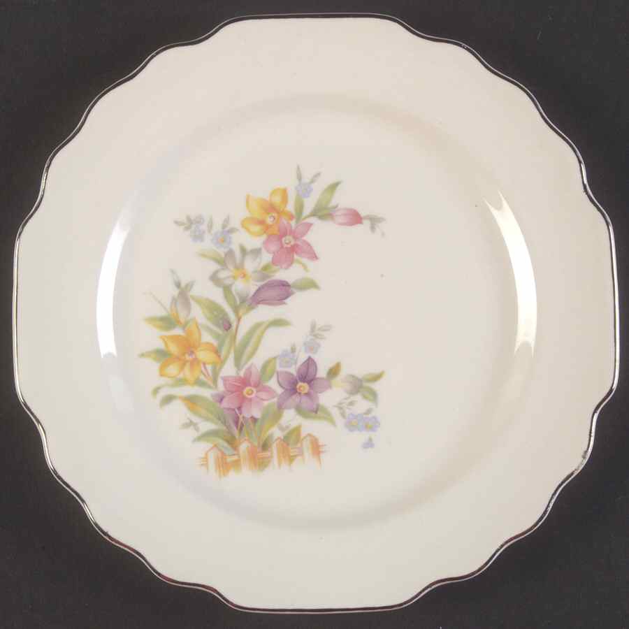GEO2 Bread & Butter Plate by WS George-1