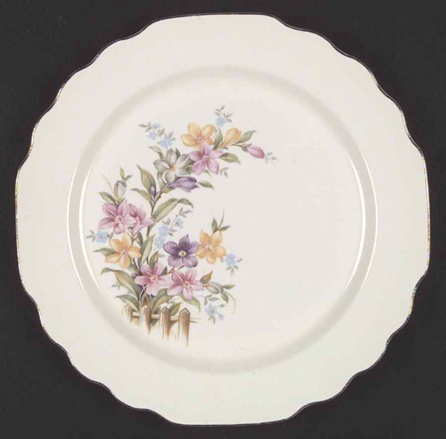 GEO2 Dinner Plate by WS George-1
