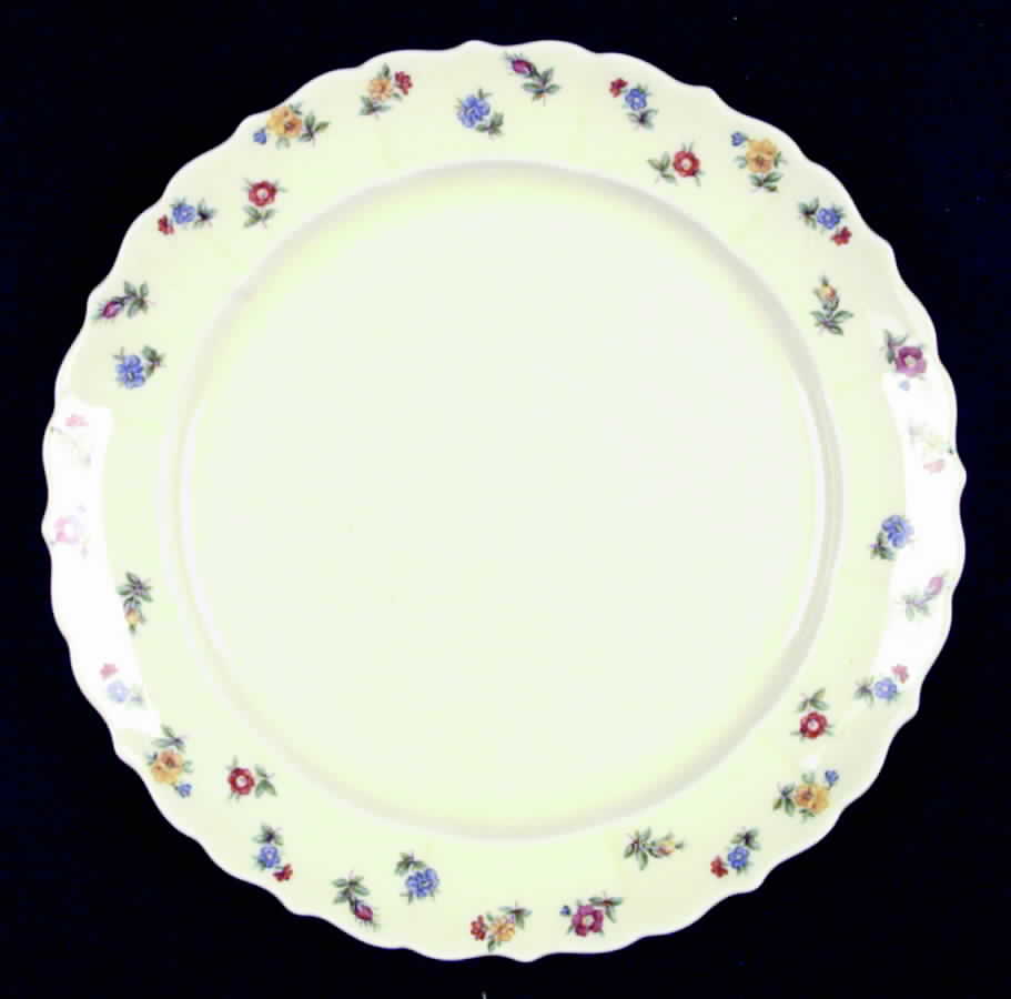 GEO21 Dinner Plate by WS George-1