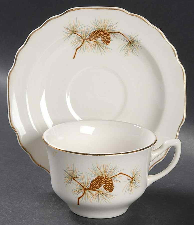 58806-4C Flat Cup & Saucer Set by WS George-1