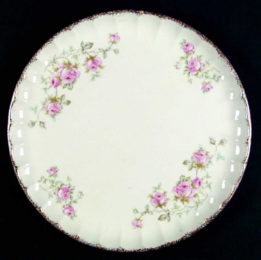 B9060 Dinner Plate by WS George-1