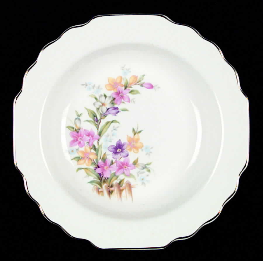 GEO3 Rim Soup Bowl by WS George-1