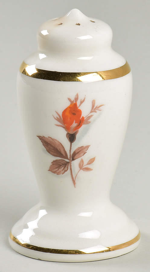 GEO5 Salt Shaker by WS George-1
