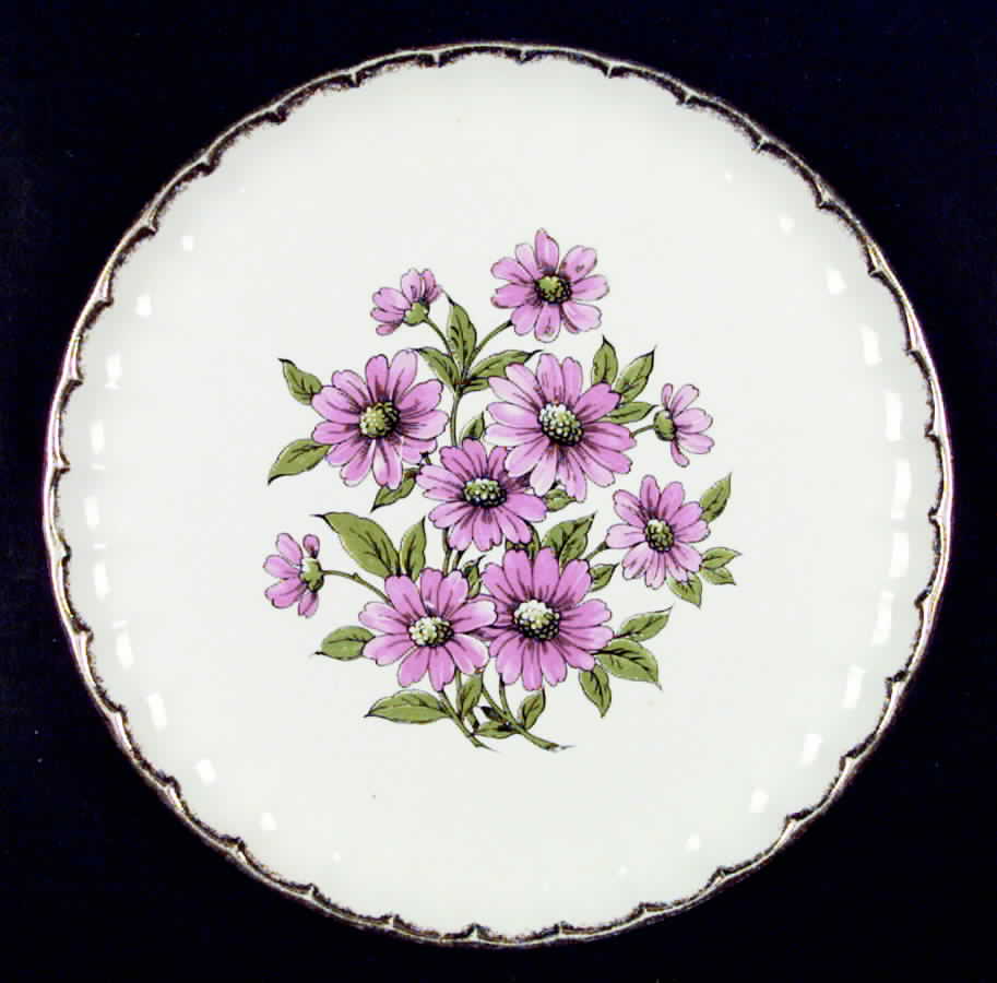 GEO53 Dinner Plate by WS George-1
