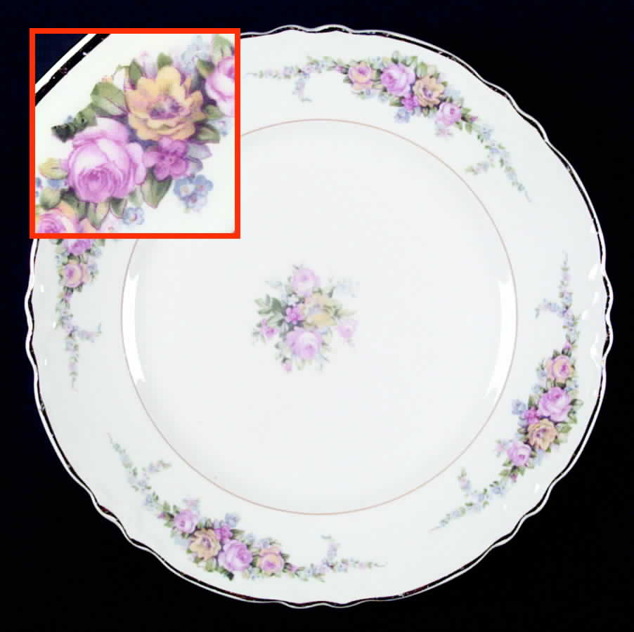 39036 Dinner Plate by WS George-1