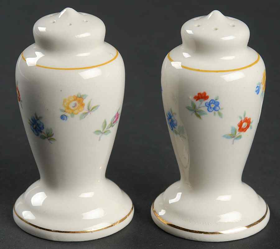 GEO61 Salt & Pepper Set by WS George-1