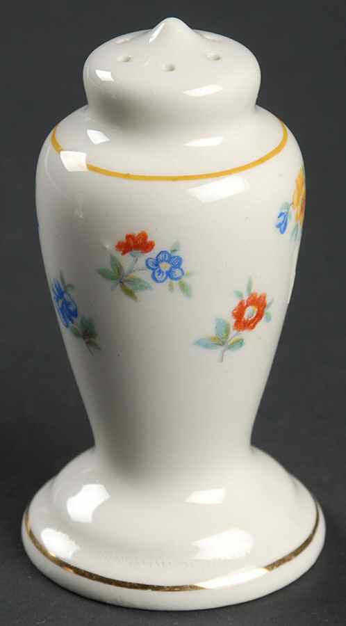 GEO61 Salt Shaker by WS George-1