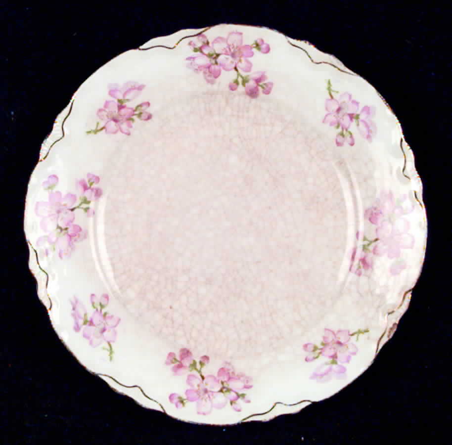 GEO65 Salad Plate by WS George-1